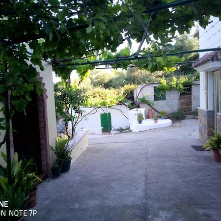 Casa El Pino Guest House Cortes de la Frontera Exterior photo