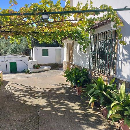 Casa El Pino Guest House Cortes de la Frontera Exterior photo