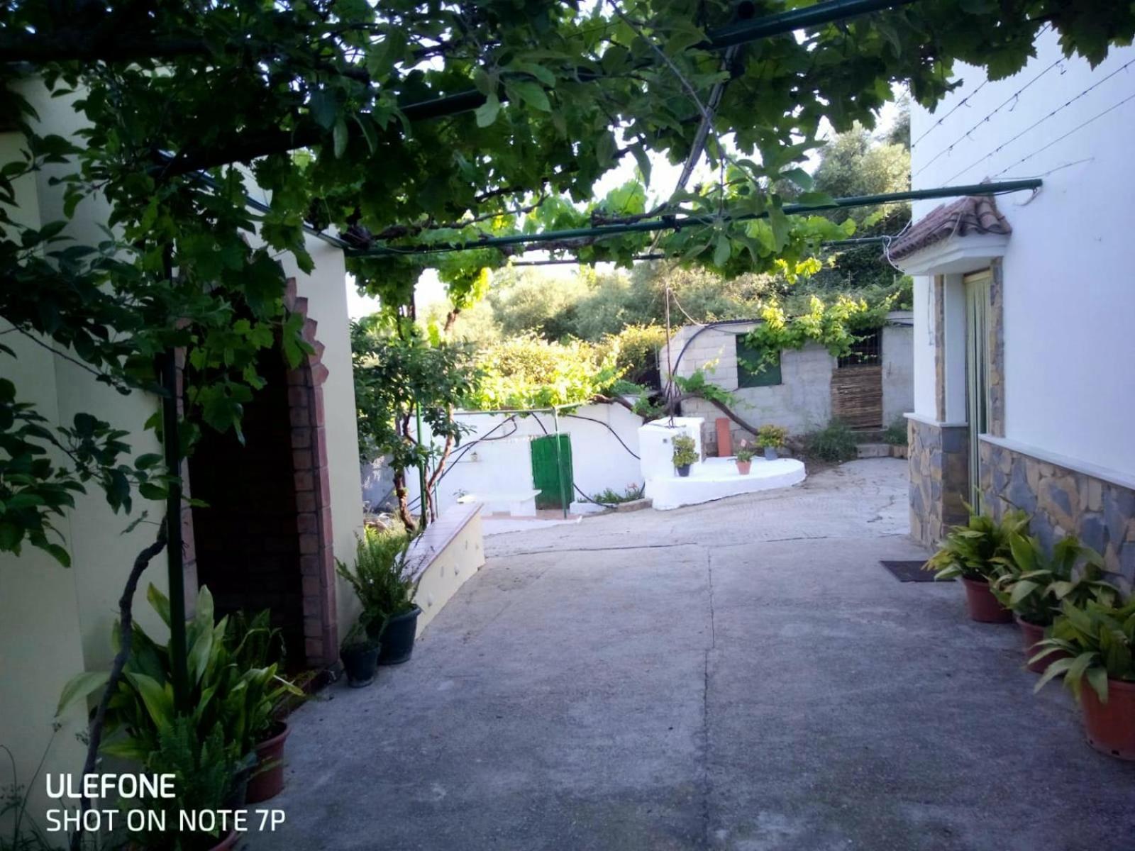 Casa El Pino Guest House Cortes de la Frontera Exterior photo