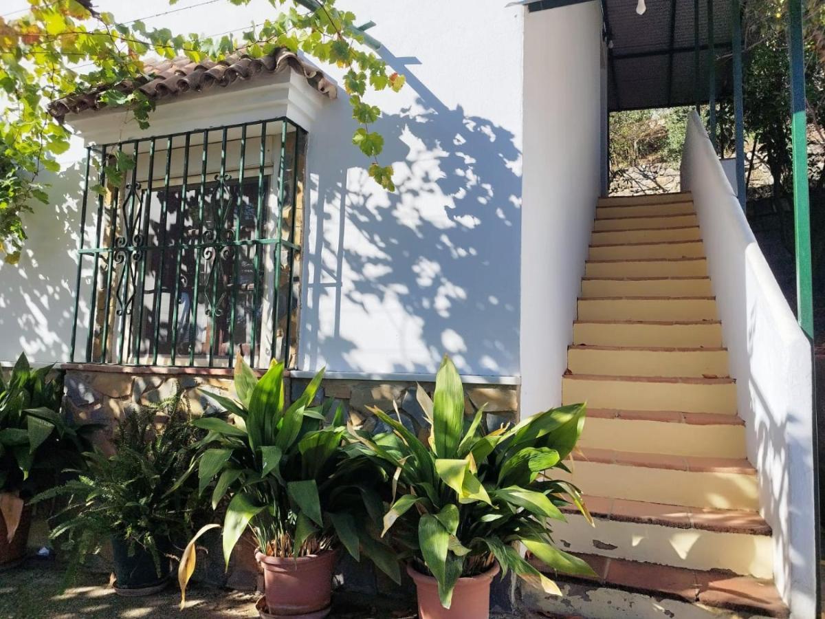 Casa El Pino Guest House Cortes de la Frontera Exterior photo