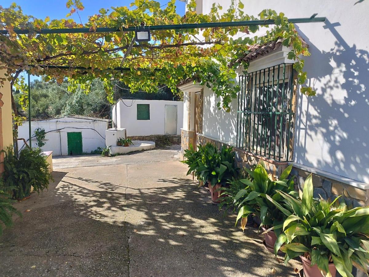 Casa El Pino Guest House Cortes de la Frontera Exterior photo