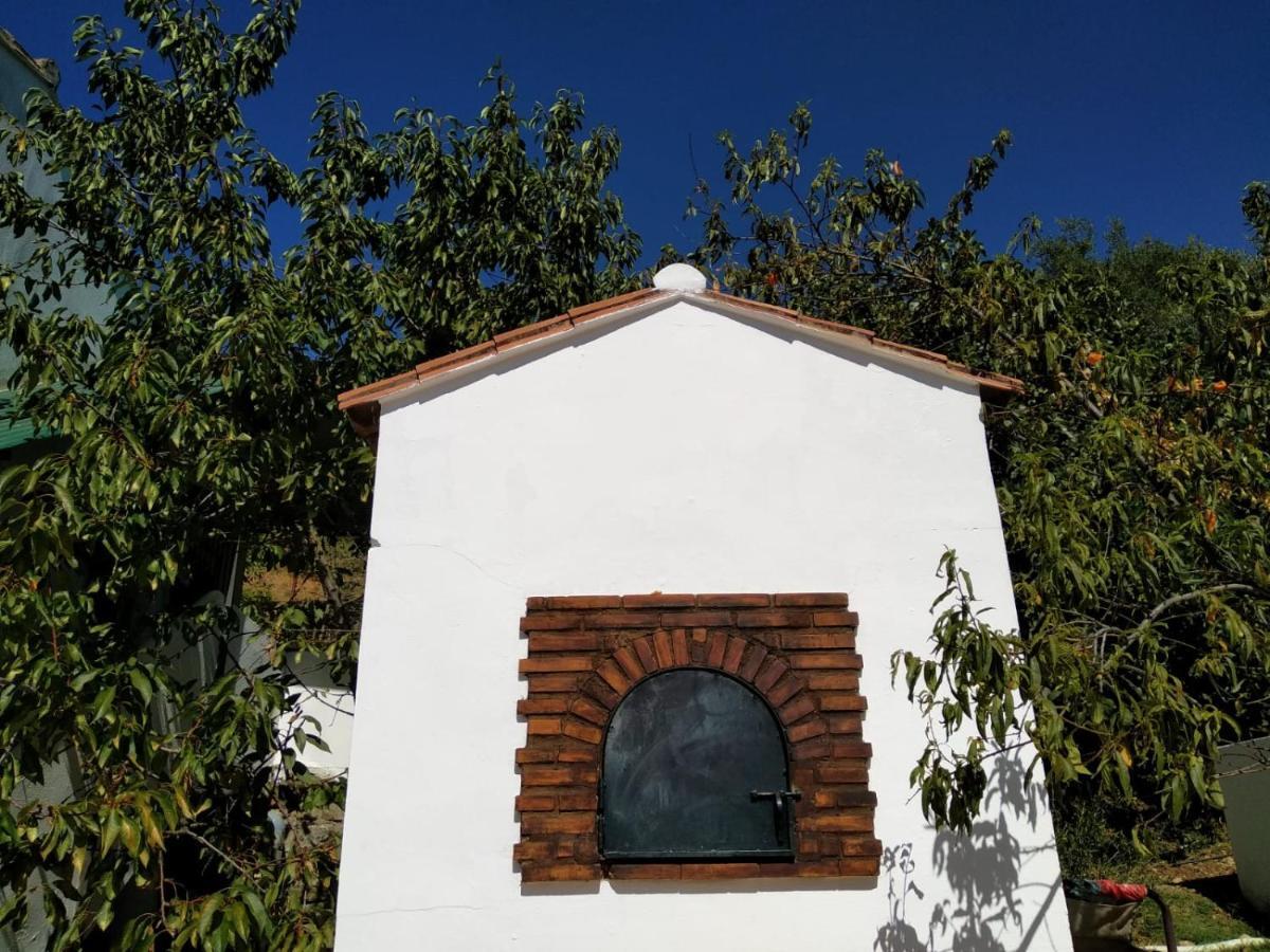 Casa El Pino Guest House Cortes de la Frontera Exterior photo